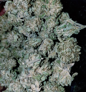 Ak-47