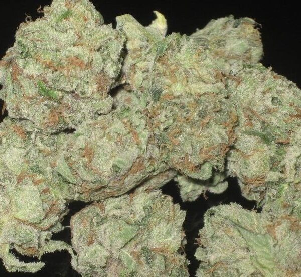 Moonwalker Kush