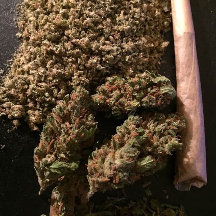 Sensi Star