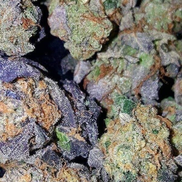 Super Silver Haze