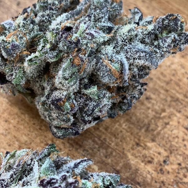 Black Cherry Gelato